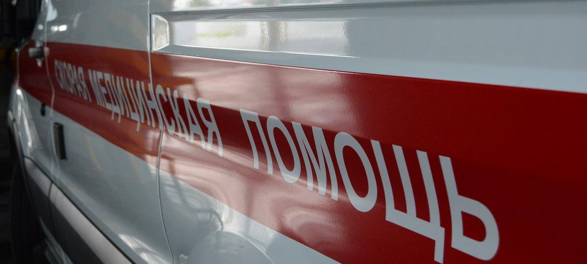 Фото носит иллюстративный характер