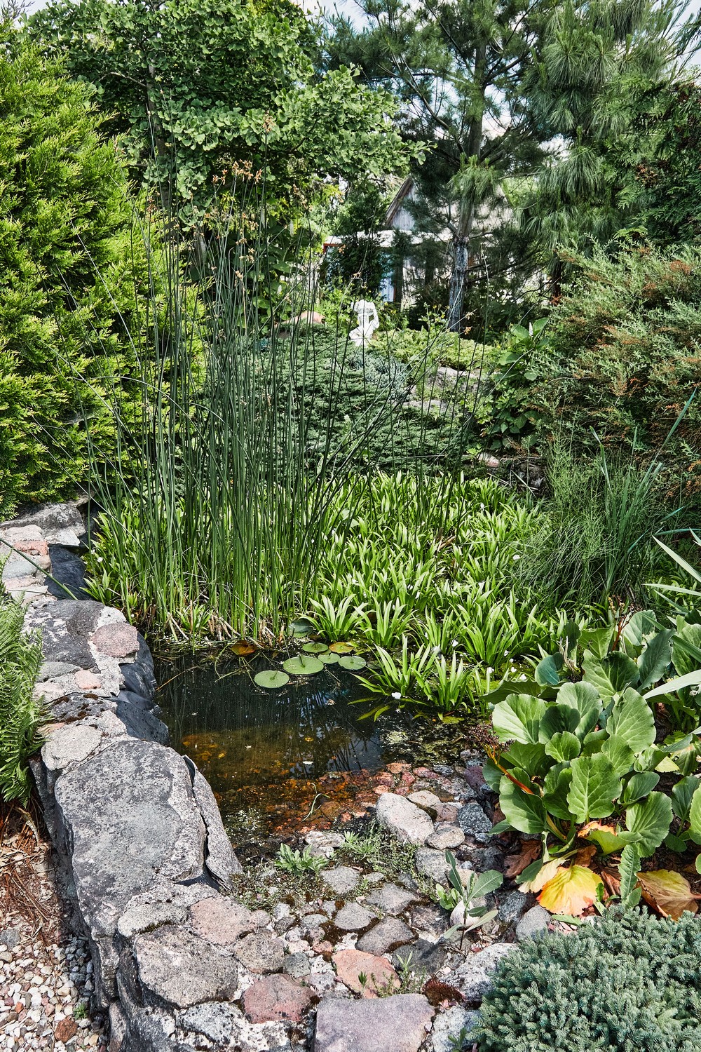 Питомник братьев Вирко