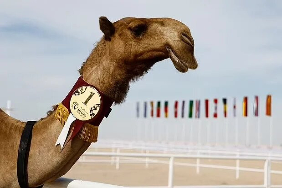 Иллюстративное фото. Источник: vesti.az