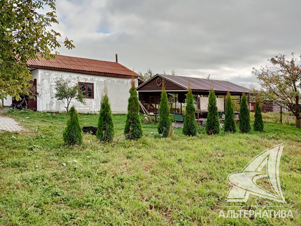 Туи, гараж и беседка на придомовой территории.