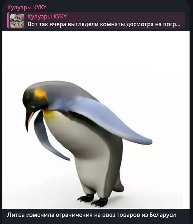 Шутка про запрет ввоза продуктов в Литву. Скриншот телеграм-канала KYKY