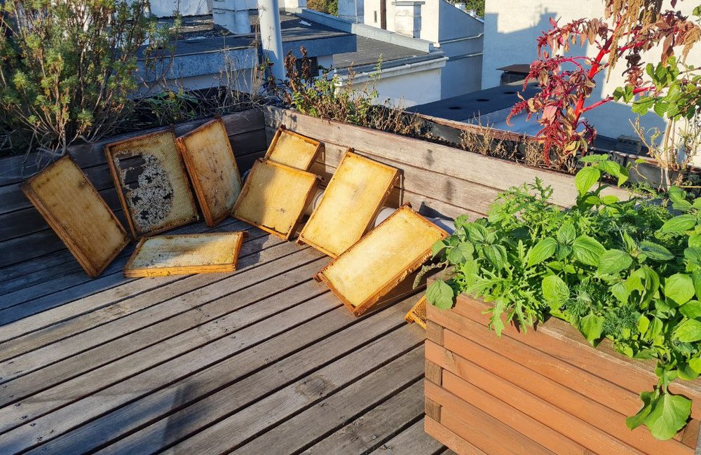 На крыше отеля — собственная пасека. «Вазоны» для растений сделаны из старых военных ящиков, в которых когда-то хранились боеприпасы.