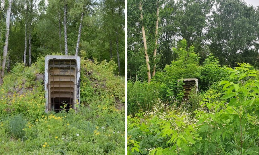 Состояние сквера на Папанина в мае 2020 года и в июле 2021 года (слева направо). Фото: BGmedia.