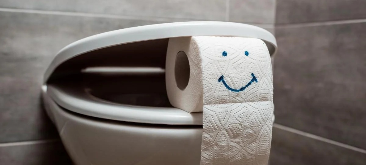 Туалетная бумага в туалете. Иллюстративное фото