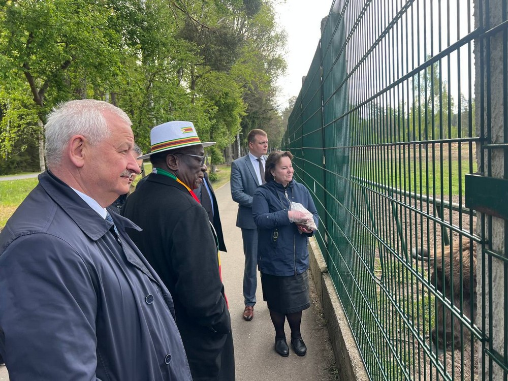Президент Зимбабве в Беловежской пуще. Фото пресс-службы нацпарка