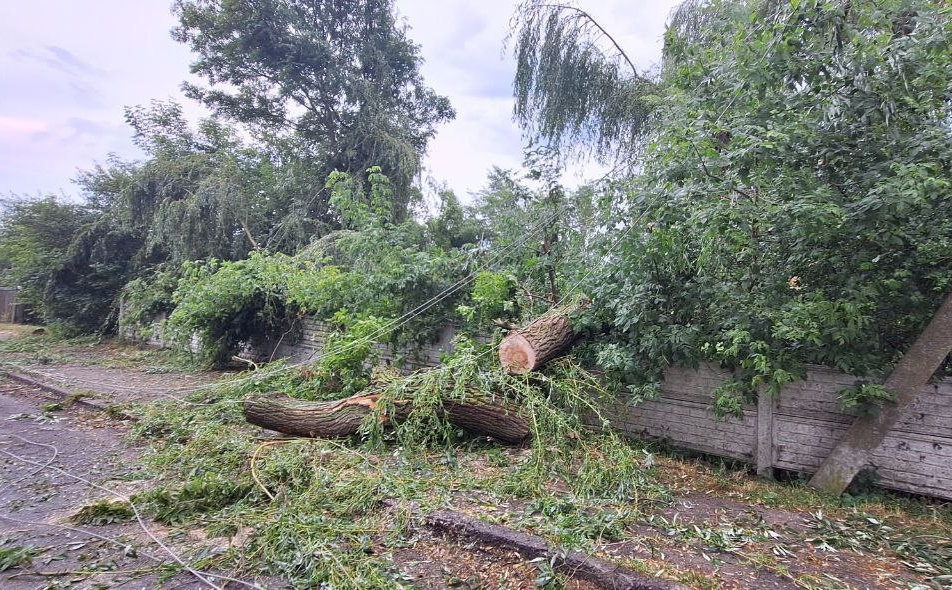 Последствия непогоды на Брестчине. Фото: МЧС.