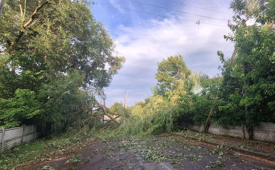 Последствия непогоды на Брестчине. Фото: МЧС.