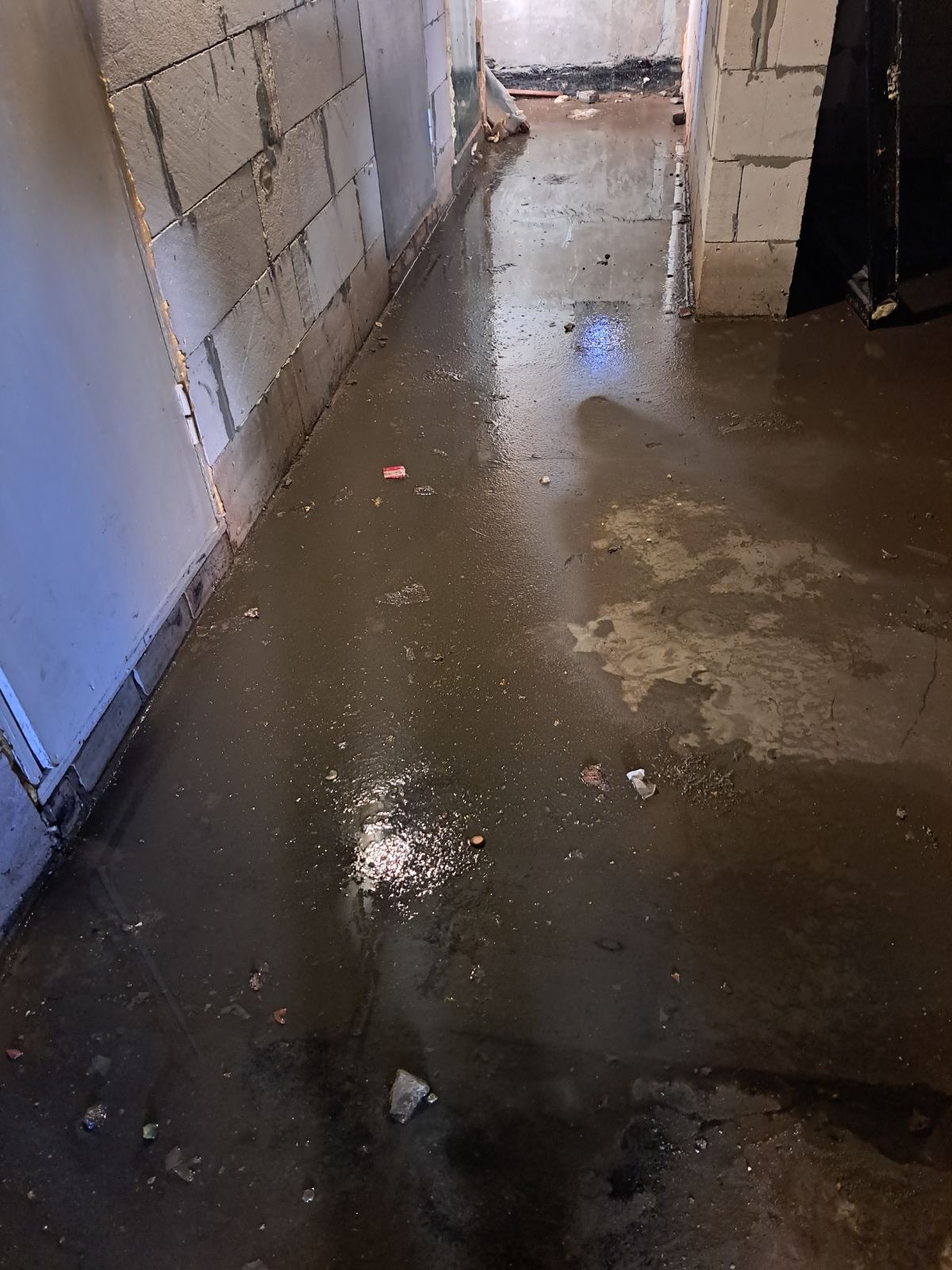 Затопленный подвал в доме №28 по ул. Дружбы в Кобрине. Фото: vkobrine.by.