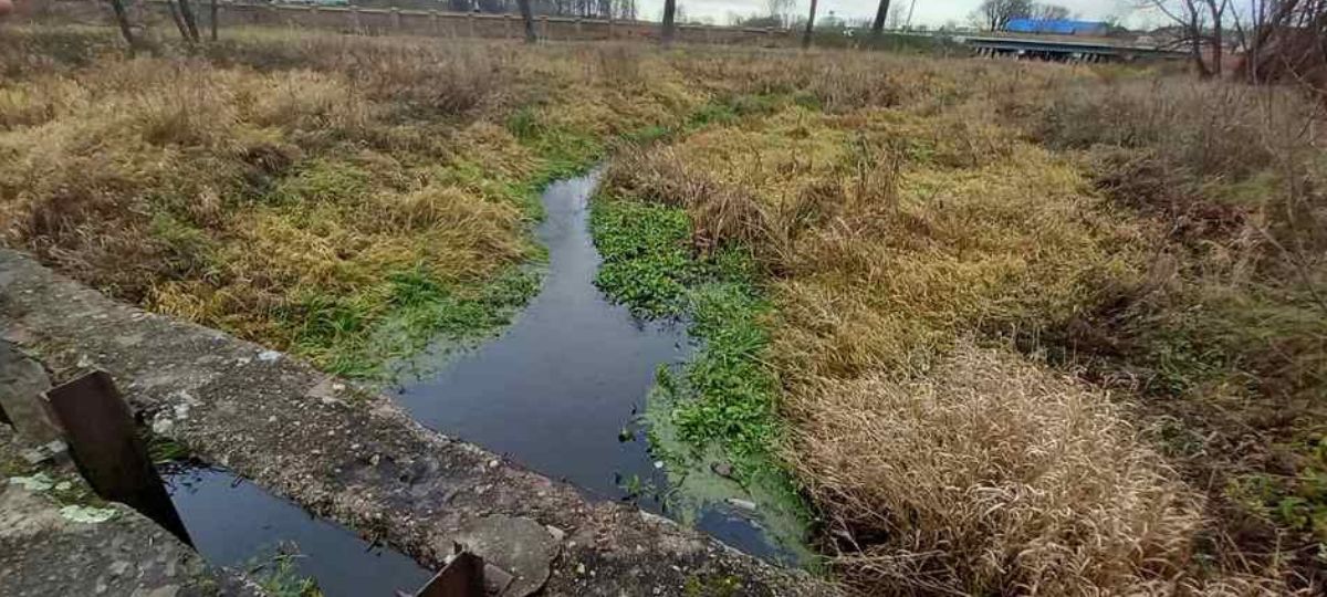 Состояние реки Пульвы в Высоком на декабрь 2021 года.