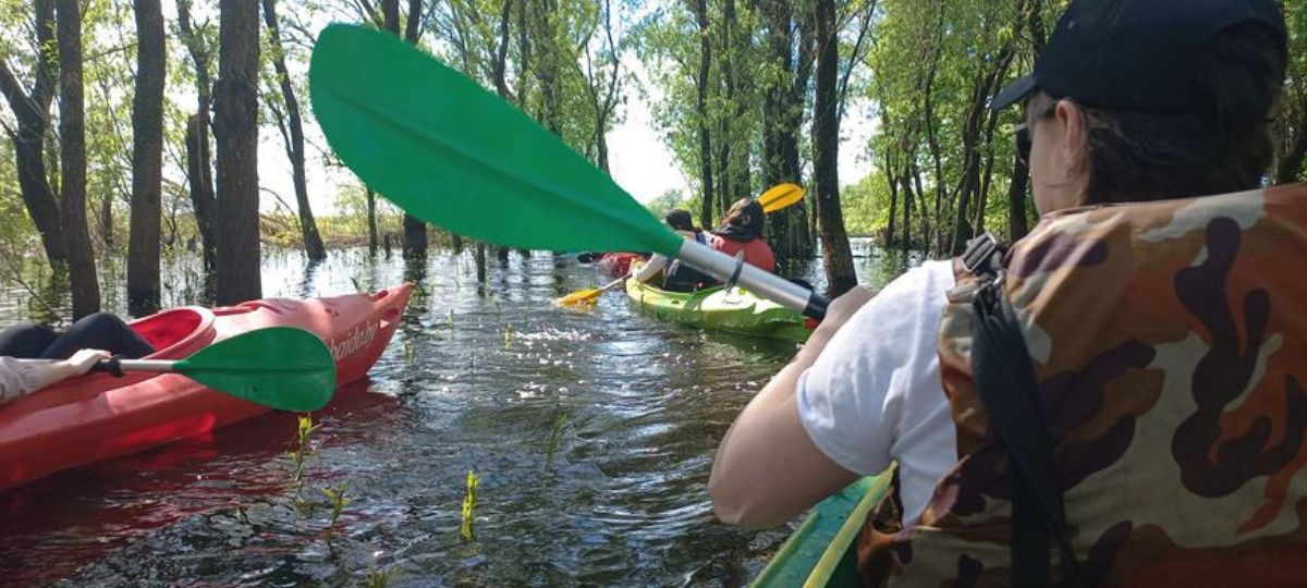 Байдарки, сплав, река, Припять