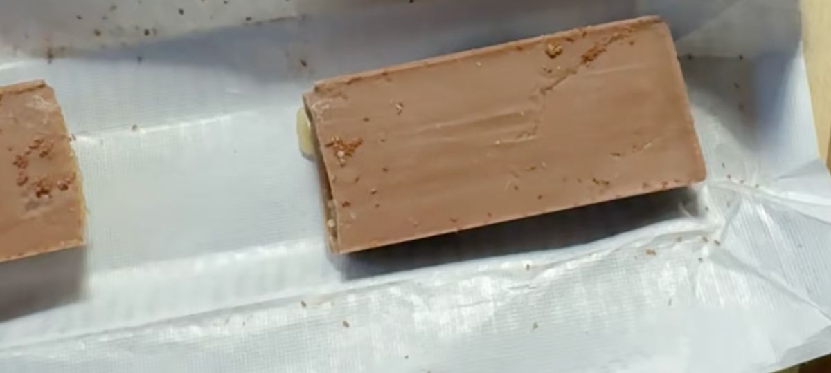 Конфеты, шоколад, Коммунарка, личинки