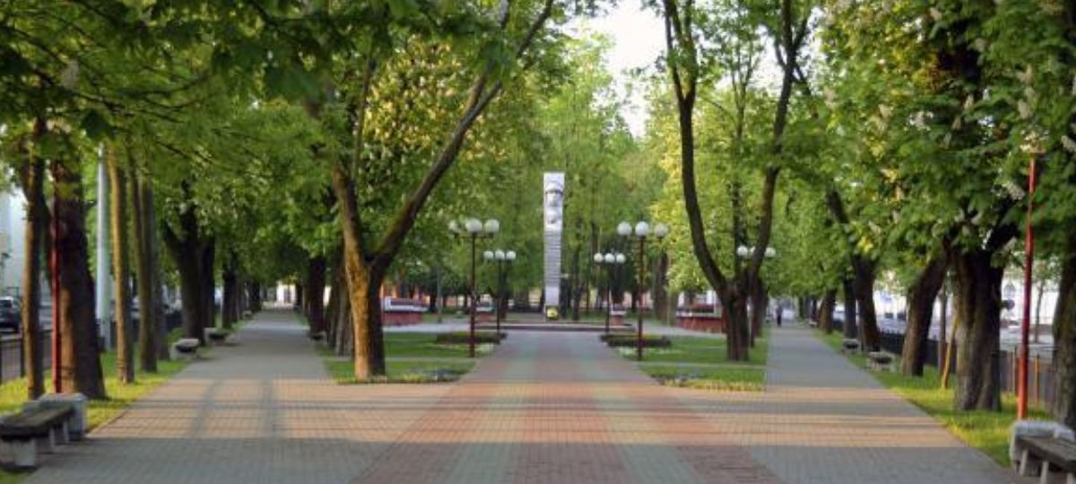 Площадь Свободы, Брест, сквер