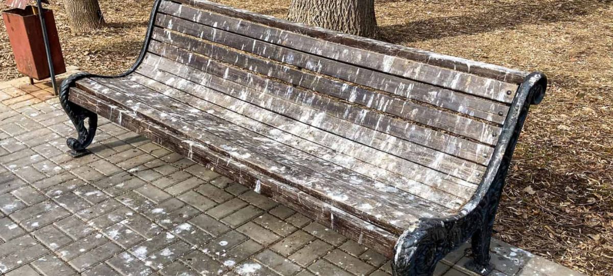 Скамейка, помет, грязь, парк