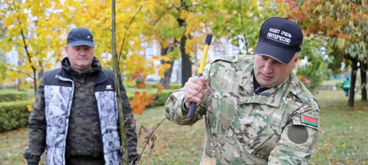 Председатели исполкомов хвастаются в TikTok посадкой деревьев