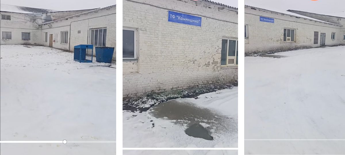 Ферма, Витебск