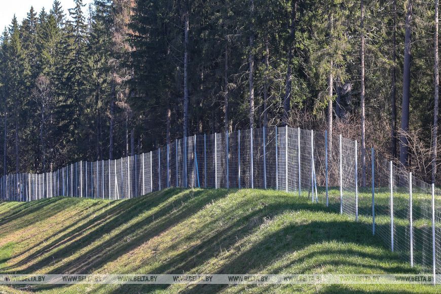 Сетка для животных на трассе Р46