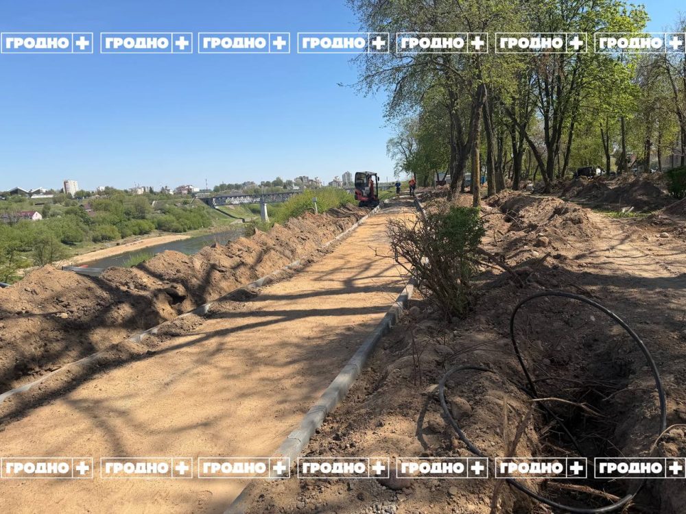 ремонтные работы в парке
