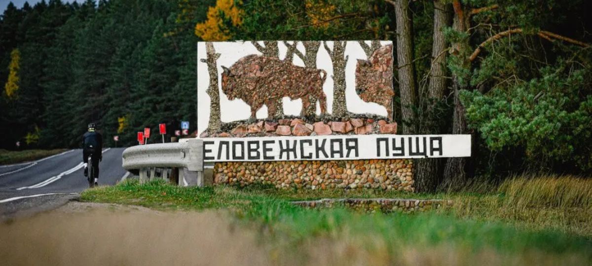 Дорога в Беловежскую пущу
