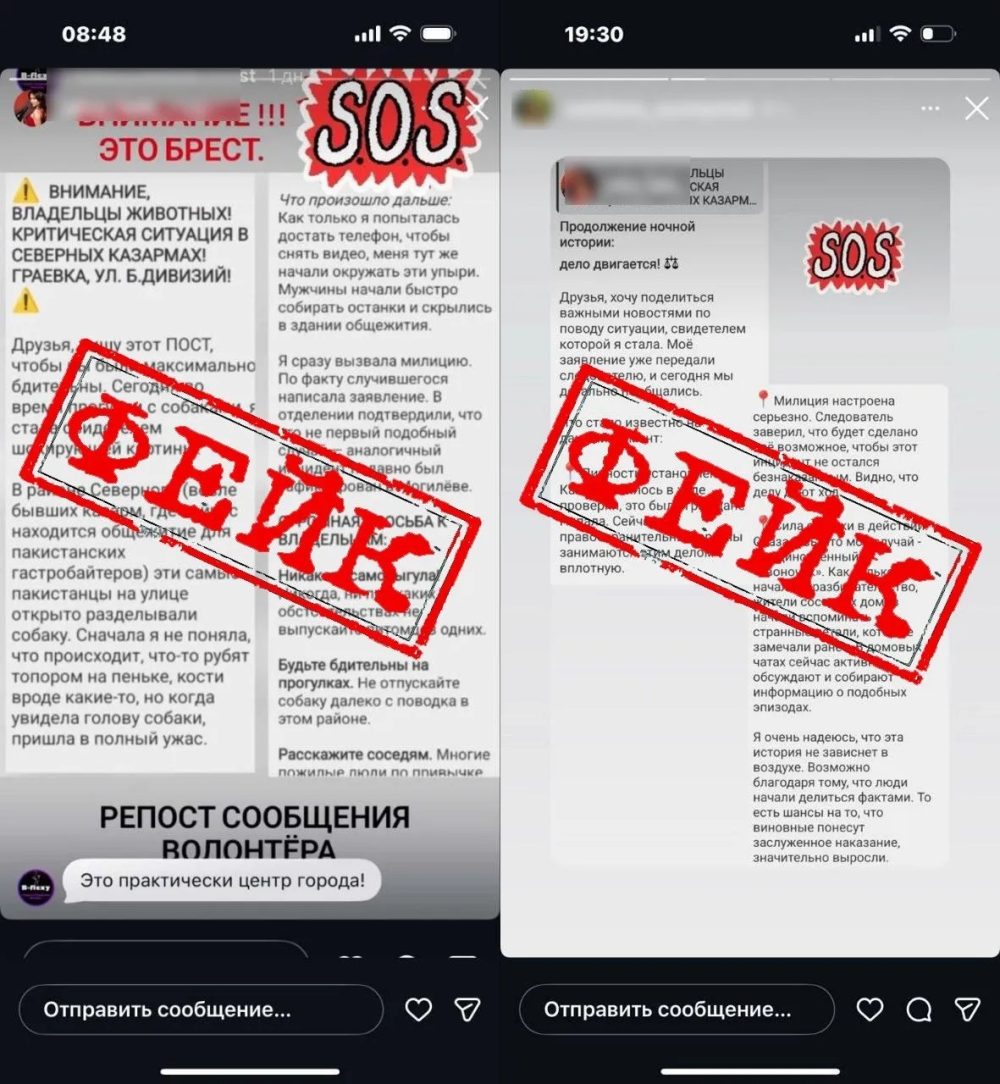 Милиция Бреста опровергла информацию о разделке собаки во дворе общежития. Фото: УВД Брестского облисполкома