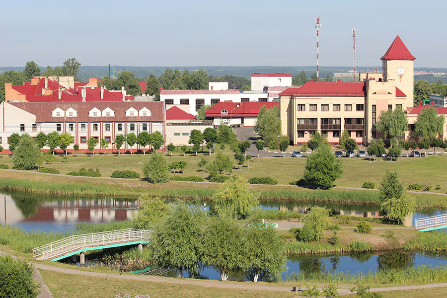 Дрыбін