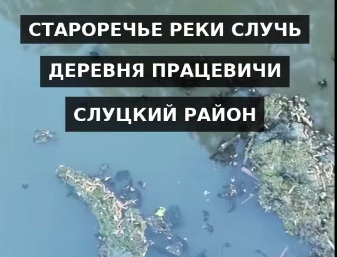 жалобы на качество воды