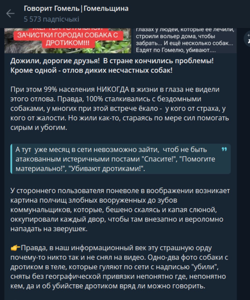 публикация в соцсетях
