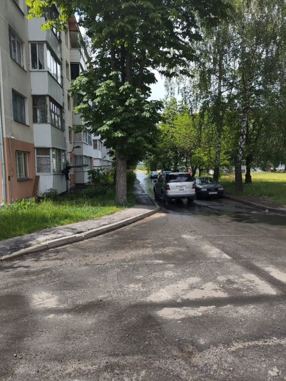 Благоустройство двора в Мозыре
