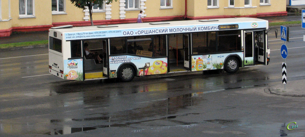 Общественный транспорт в Орше
