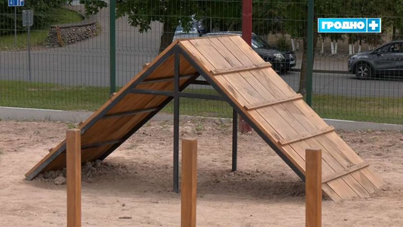 Одна из новых площадок для выгула собак в Гродно