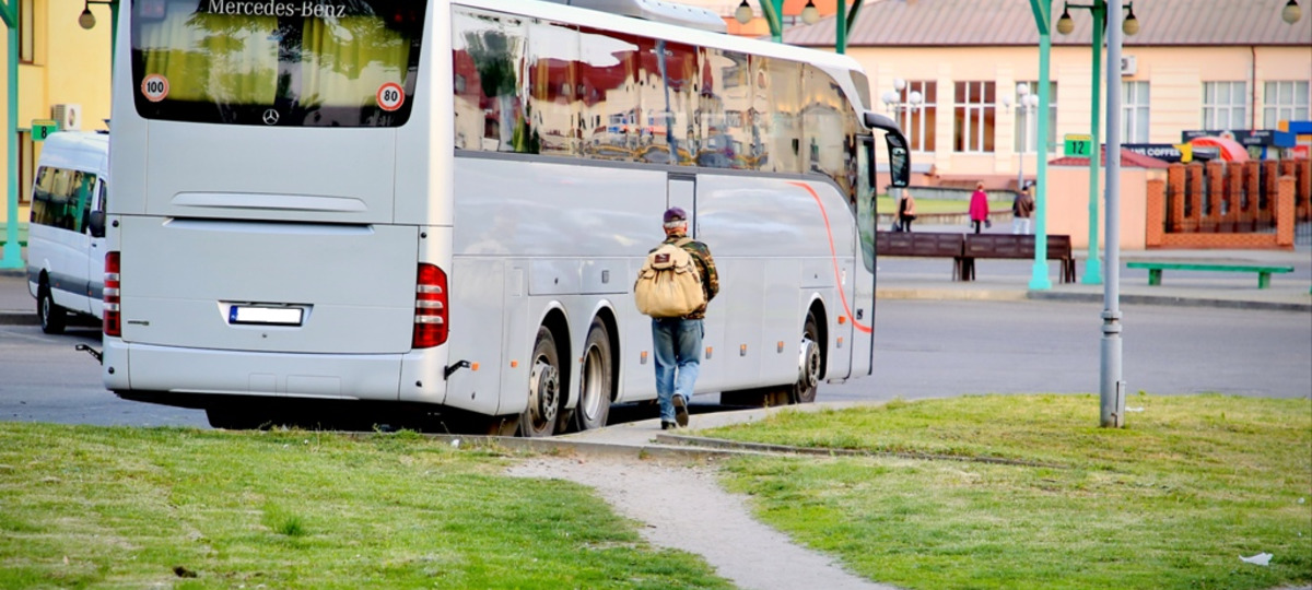 Одна из вытоптанных людьми дорожек в Гродно