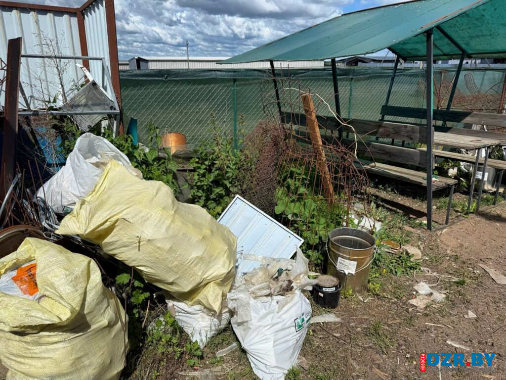 Состояние дворов в хозяйствах в деревне Томковичи.