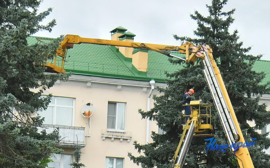 Удаление елей на площади Ленина в Барановичах