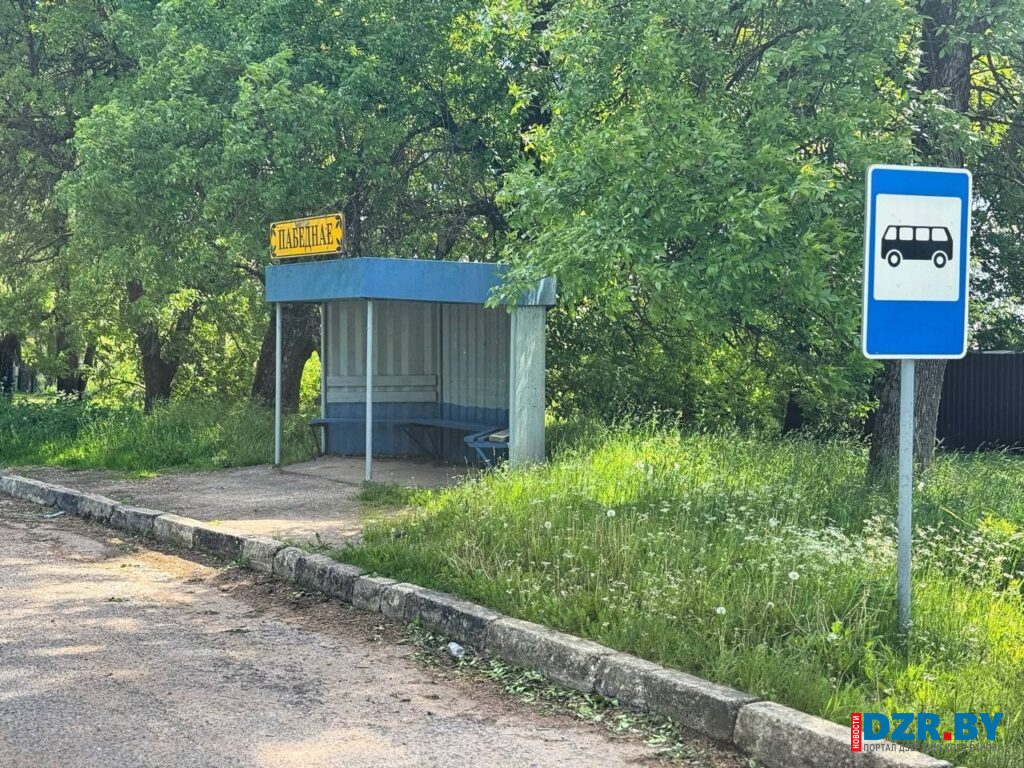 Заросшая обочина трассы на трассе Негорелое–Самохваловичи в Дзержинском районе