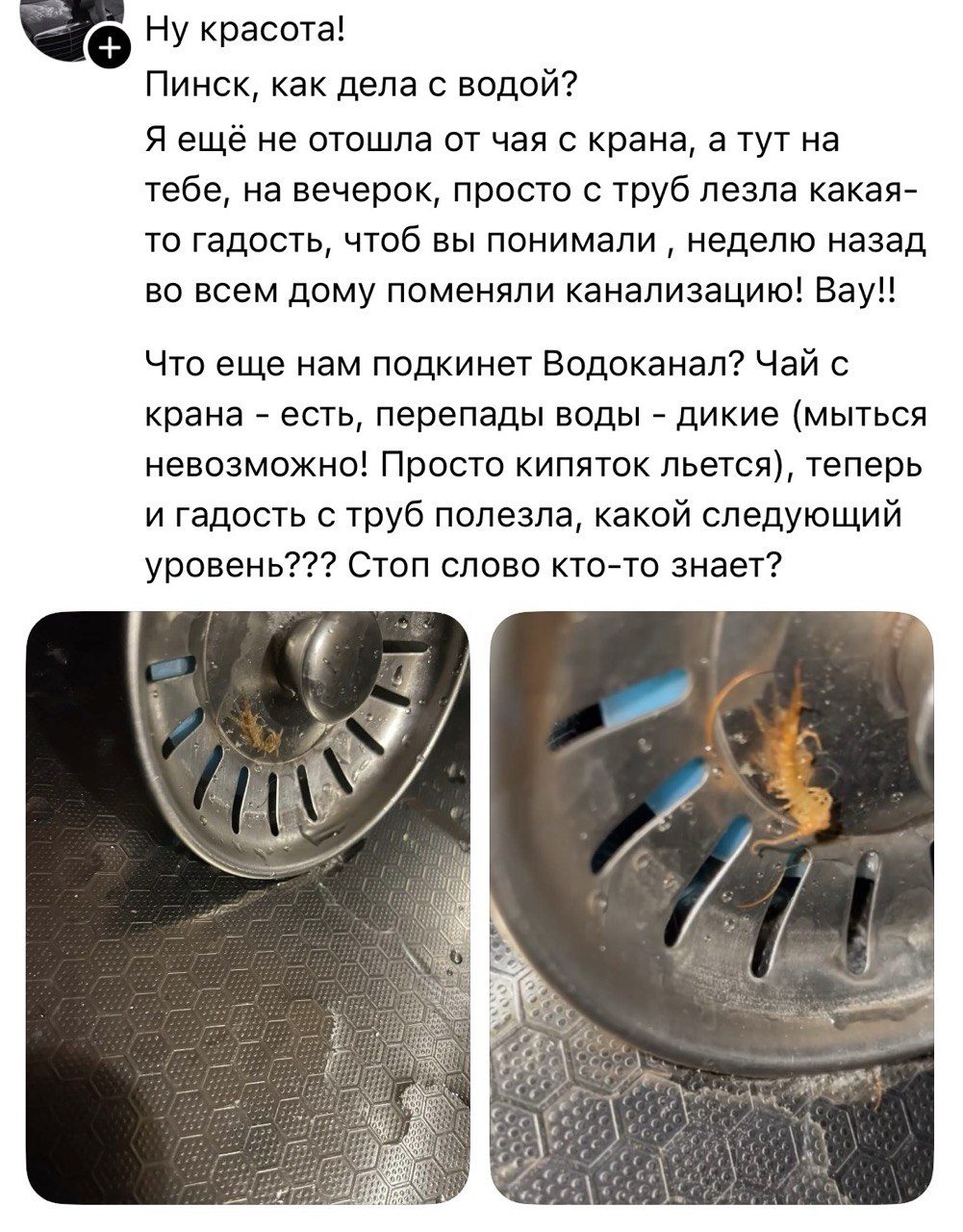 Жалоба жительницы Пинска на воду. Скриншот поста в Threads