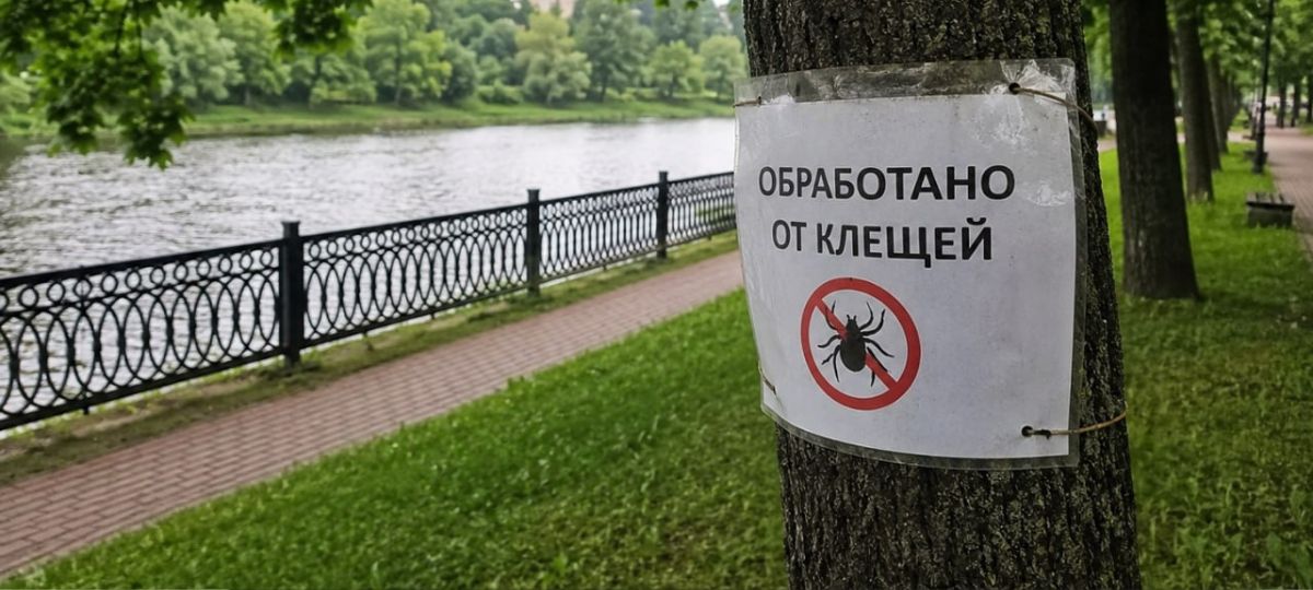 Обработка от клещей