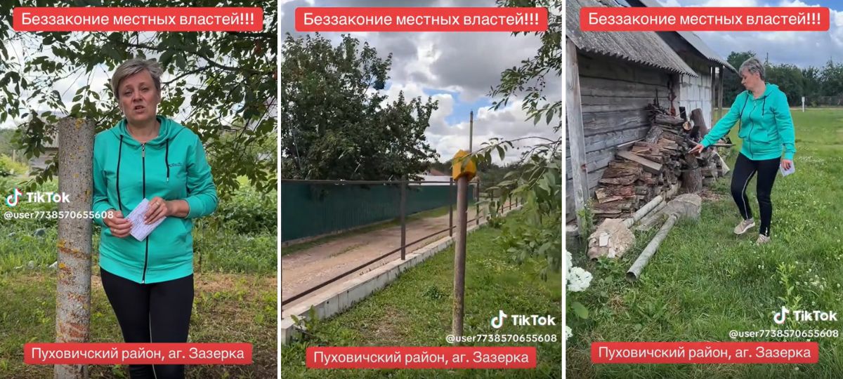 Обращение жительницы Пуховичского района к Лукашенко. Коллаж BGmedia