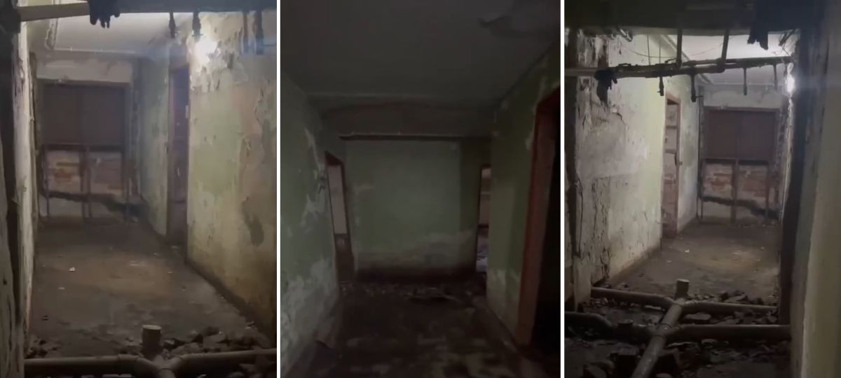 Подвал дома в Бобруйске привели в порядок после видео в TikTok. Коллаж BGmedia