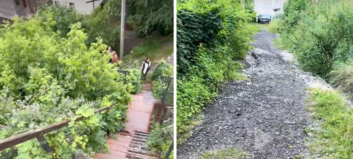 Состояние участка в центре Могилева